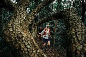 BIB: 
                            <button type="button" onclick="openModal(25393174)" class="btn btn-primary btn-sm float-right btn-popup" data-toggle="modal" data-target=".modal-high-quality">
                        <i class="fas fa-shopping-cart"></i> Add to Cart
                    </button>
                                            <button type="button" onclick="isThisMe(25393174, true)" class="btn btn-success btn-sm float-right btn-popup btn-isme hidden" data-toggle="tooltip" data-placement="bottom" title="นี่คือรูปของคุณใช่ไหม คลิกที่นี่เพื่อเอาเข้าอัลบั้ม">
                        <i class="fas fa-plus"></i> Add to album
                    </button>
                    <button type="button" onclick="isThisMe(25393174, false)" class="btn btn-warning btn-sm float-right btn-popup btn-isnotme hidden">
                        <i class="fas fa-ban"></i> Remove from album
                    </button>